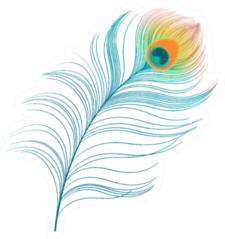 Peacock Plume Colorful Feather Illustration Sticker