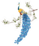 Peacock Standing On Branch Of Plum Blossom Flowers Sticker