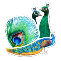 Peacock Thumbnail