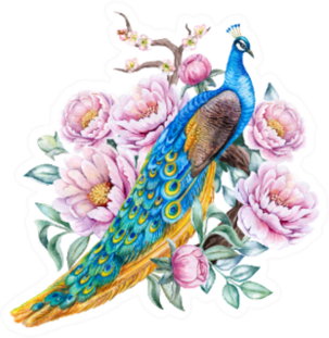 Peacock With Peonies Flowers Beautiful Illustration Sticker