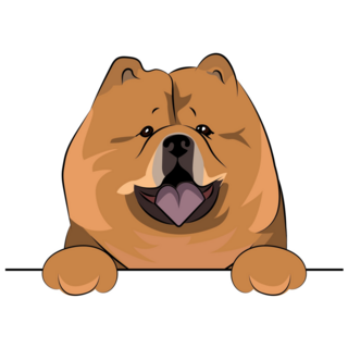 Peeking Chow Chow Sticker