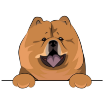 Peeking Chow Chow Sticker