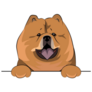 Peeking Chow Chow Sticker