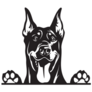 Peeking Doberman Sticker