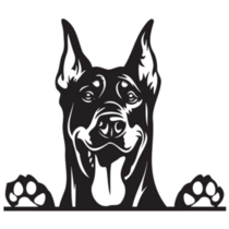 Peeking Doberman Sticker