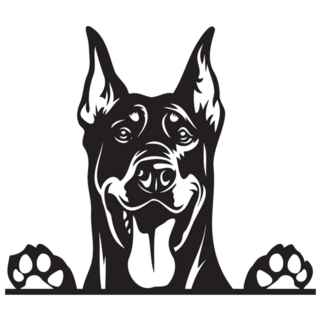 Peeking Doberman Sticker
