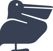 Pelican Bird