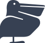 Pelican Bird