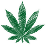 Pencil Art Marijuana Leaf Sticker