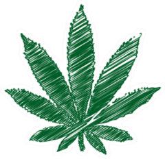 Pencil Art Marijuana Leaf Sticker