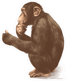 Pensive Looking Monkey Sticker