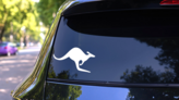 Perfect Kangaroo Sticker on a Rear Car Window (New) example