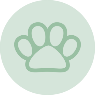 Pet Paw Print Sticker