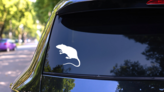 Pet Rat Sticker on a Rear Car Window (New) example