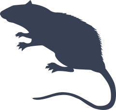 Pet Rat Sticker