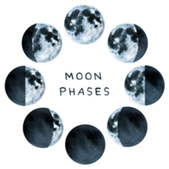 Phases Of The Moon, Watercolor Collection Sticker