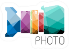 Photo Camera Icon Art Sticker