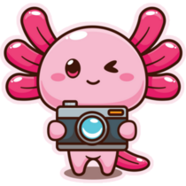 Photography Axolotl Sticker