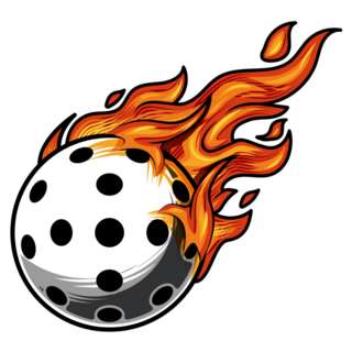 Pickleball On Fire Sticker