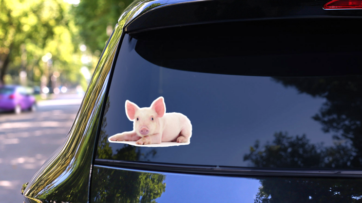 Pig Baby Sticker on a Rear Car Window (New) example