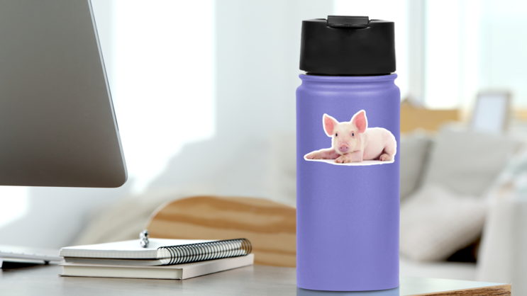 Pig Baby Sticker on a Water Bottle (New) example
