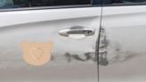 Pig Band Aid Bandage Sticker on a Scratched Car example