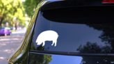 Pig Looking At Ground Sticker on a Rear Car Window (New) example
