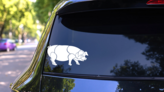 Pig Sticker on a Rear Car Window (New) example