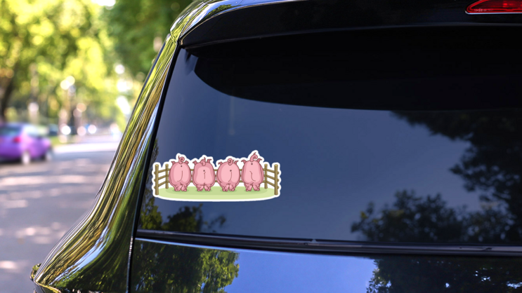 Pigs Back View Sticker on a Rear Car Window (New) example
