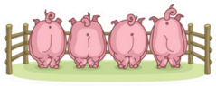 Pigs Back View Sticker
