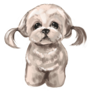 Pigtail Maltese Sticker