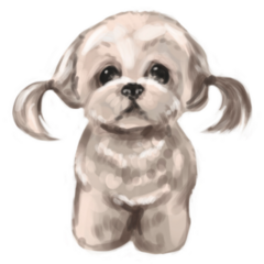 Pigtail Maltese Sticker