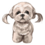 Pigtail Maltese Sticker