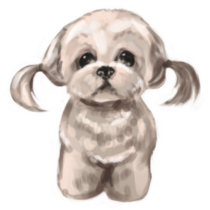 Pigtail Maltese Sticker