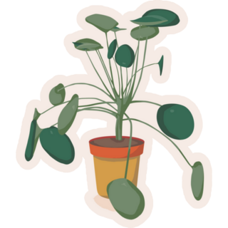 Pilea Houseplant Sticker