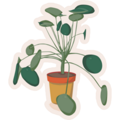 Pilea Houseplant Sticker