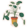Pilea Houseplant Sticker