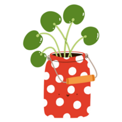 Pilea Peperomioides Potted Plant in Cute Polka Dot Can Sticker
