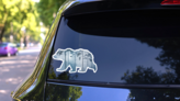 Pine Forest Inside A Bear Sticker on a Rear Car Window (New) example
