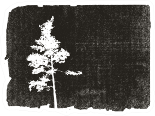 Pine Silhouette On Grunge Background Illustration Sticker