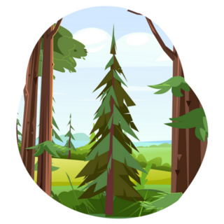Pine Tree Canadian Forest Landscape Sticker