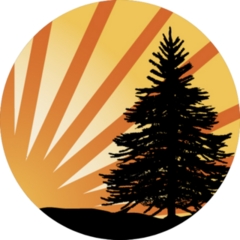 Pine Tree Silhouette Abstract Sunrise Sticker