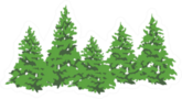 Pine Trees Grouped Sticker