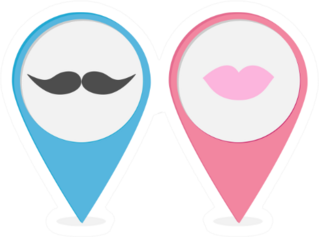 Pink and Blue Male and Female Symbol Stickers