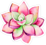 Pink and Green Watercolor Succulent Sticker