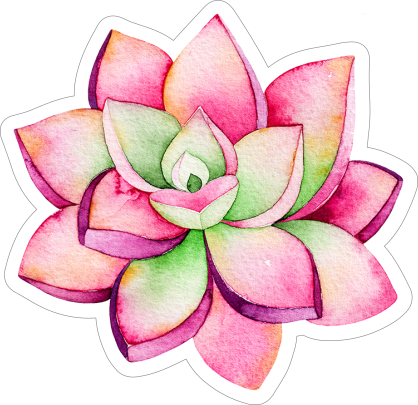 Pink and Green Watercolor Succulent Sticker