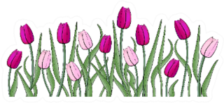 Pink And Violet Tulips With Stems Sticker