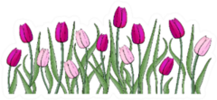 Pink And Violet Tulips With Stems Sticker