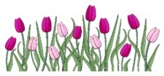 Pink And Violet Tulips With Stems Sticker