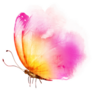 Pink and Yellow Watercolor Butterfly Sticker